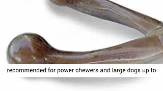 Pet Qwerks Wish BarkBone - For Aggressive Chewers