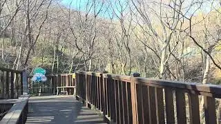 숲길 여행 데크길 황벽나무 합다리나무 고욤나무
