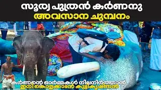 കർണൻ്റെ  പകരക്കാരൻ ഇവനാണോ ? ll Kolakkadan Kuttikrishinan ll Mangalamkunnu Karnan ll Elephant Kerala