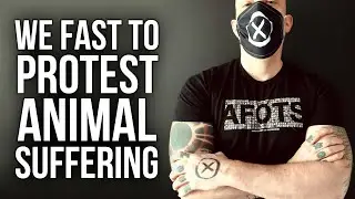 Animals First on the Second