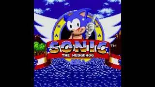 Sonic 1 Absolutely Normal Edition #shorts