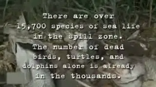 Buckcherry - Our World (The BP Disaster Song) Music Video