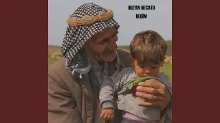 Halay