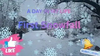 Finally Barf ❄️ Gir gai 🥶‼️ 2026 ki pahli Barf ⛷️1️⃣#pahadicheetah 🐆👑 #snowfall ☃️🌨️ #snowday 🤩👍💥