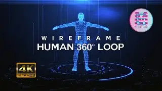 360&deg; Wireframe Human Body