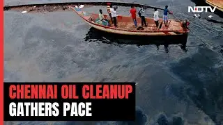 A Week Since Chennai Oil Spill, Cleanup Gathers Pace After Green Court Rap