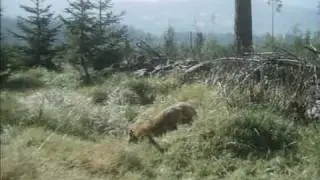 Pod Jezevč&iacute; sk&aacute;lou - gambol in nature - music by Lubo&scaron; Sluka