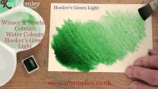 Winsor & Newton Cotman paint Hooker's Green Light 314