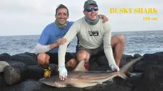Un DUSKY e un NUTRICE a Rock Fishing: Ilha do Sal Cabo Verde
