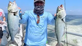 Bluefishing aboard Miss Belmar Princess New Jersey USA 🇺🇸