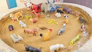 Muddy Tracks & Animal Facts:  Zoo & Safari Adventures in the Mud!