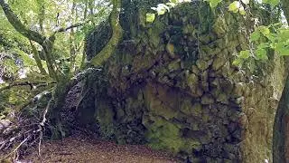 Der Beilstein und die Beilsteinh&ouml;hlen (Spessart)