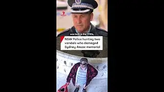 NSW Police hunting vandals who damaged Hyde Park Anzac memorial