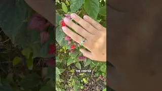 ✨ This one-of-a-kind custom family ring comes from Todd&rsquo;s signature swirl collection