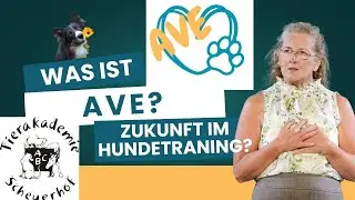 Was ist AVE und wie hilft es dir und deinem Hund?