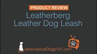Product Review Leatherberg Leather Dog Leash