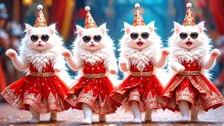 बिल्ली डांस🤣Cutest Cat Funny Dance video💃😻 Dance video for Cat🤣#viralvideo #cat #funny #danceingcat