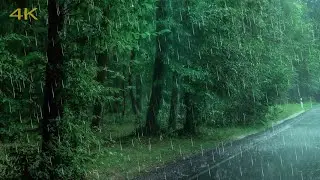 Shower and thunderstorm in the summer forest ⚡ Thunder ⚡ Sounds of heavy rain for sleep ⛈