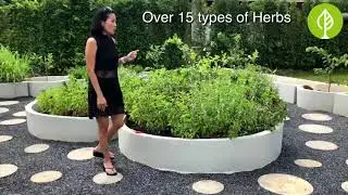 New Leaf Detox Resort owner Air Page in the Organic Herb Garden