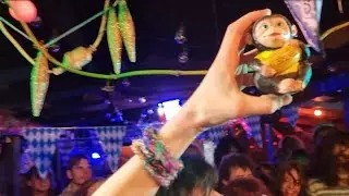 Shacked! - Monkey Buisness @ Link n Pin 28/9/2024
