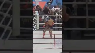 Turning kick and knee.