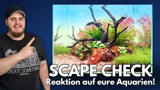 Ich reagiere auf eure Aquarien! Scape Check