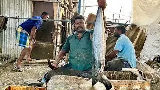 KASIMEDU SELVAM KING FISH CUTTING VIDEO | KASIMEDU SPEED SELVAM FISH CUTTING | UK SONS MARINE