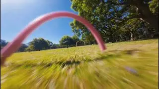 FPV TRAINING GONE WRONG. STUCK IN A TREE
