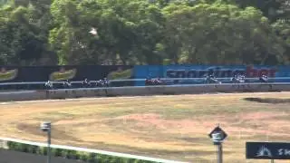 Race 5- DREAMEDIA Handicap 1200m