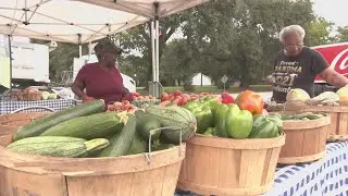 Pop-up farm stand open in Dorchester County