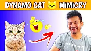 Dynamo Cat Mimicry 🤣 Hydra Family