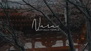 CINEMATIC TRAVEL VLOG: Japan - Kofukuji Temple Nara