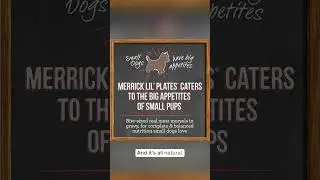 Product Unboxing & Review: Merrick Lil' Plates Grain Free Small Breed Wet Dog Food Bundle Pack