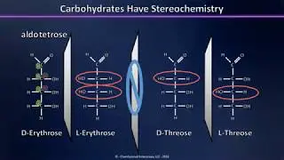 A Brief Introduction to Carbohydrates: Aldoses, Ketoses and their Stereochemistry Explained