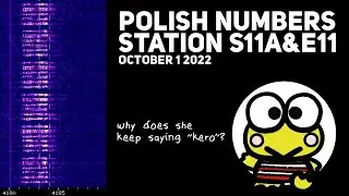 POLISH NUMBERS STATIONS S11a & E11  RECORDINGS 221001