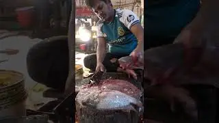 Traditional Tilapia Fish Cutting | Expert Filleting & Cleaning #shorts  #fillet #fishcutting