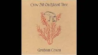 Graham Coxon: All Has Gone