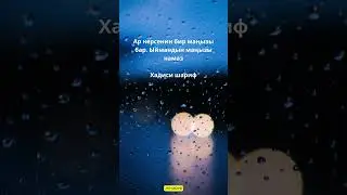 Ар нерсенин бир маңызы бар..✨✨✨ #rek #субханаллах #quotes #motivation #love #религия #аллах #аллоху