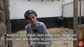 Pony safety with AgriKids Part 3 - Horse & Pony Care