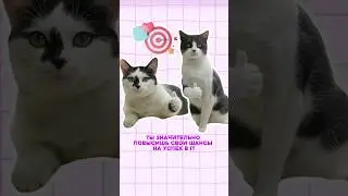2 часть Типичные ошибки начинающих в IT #айти