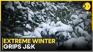 J&K Experiences Severe Cold Wave; Srinagar Mercury Drops to -32&deg;C | WION