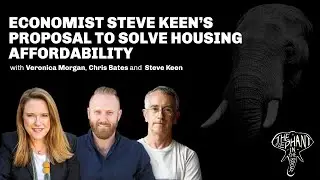 Economist Steve Keen&rsquo;s Proposal to Solve Housing Affordability