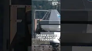 Buoys in Pacific Ocean act as warning beacons for deadly tsunamis