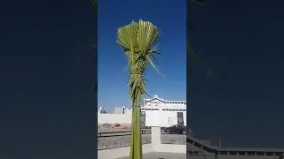 Irregation system #shorts #viral #irrigationproject