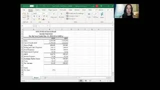 Excel Video Presentation- Pro Forma Income Statement