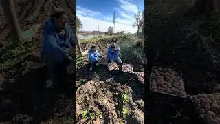 نعنوع والميلود متفاهمين على الحاج
