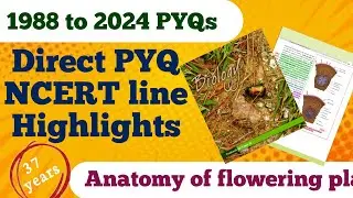 Direct PYQ Ncert line highlights | ANATOMY OF FLOWERING PLANTS | NEET 2025 | NEETxPYQ #ncert #mbbs