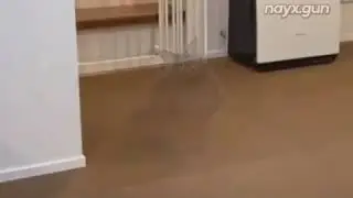 abueno adios master