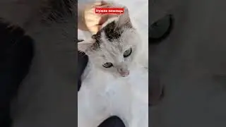 Сбербанк - 2202 2083 9973 9524, получатель Оксана Игоревна В. Привязана к номеру 89370612797