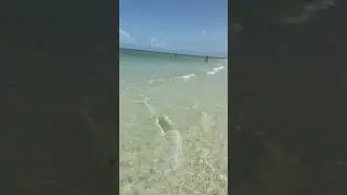 Clam Pass Park. Naples beach, Florida